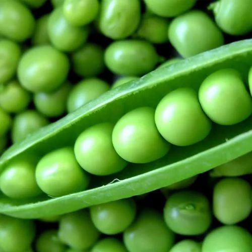 Green Split Peas, 50 Kg