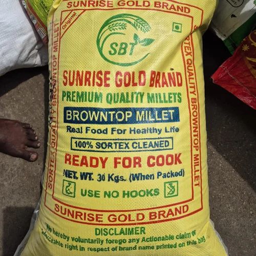 Browntop Millet Seeds Sunrise Brand