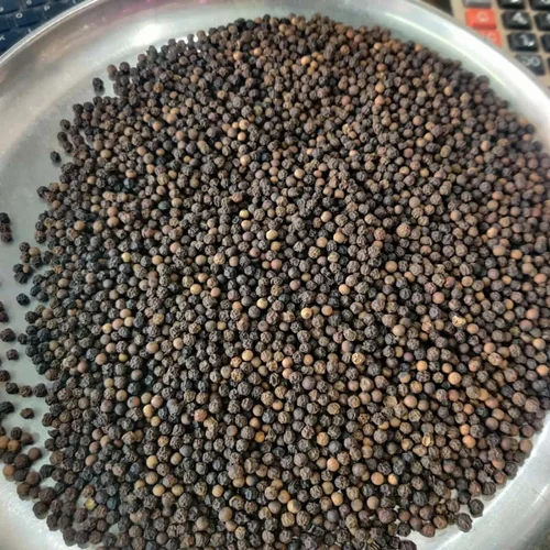 Variety: Tellicherry India Black Pepper Seeds Small Mini Bold 30Kg 1 Bag, BB1 Quality 550 G/L
