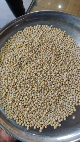 Bijapur Jowar White 1 Kg, High in Protein