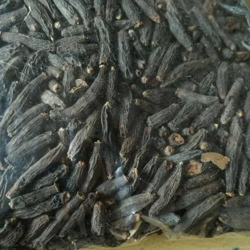 Marathi Moggu Kerala 1 inch