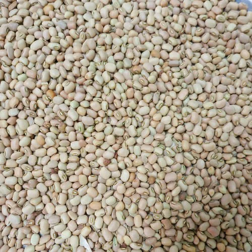 Red Loban Alsandi 10Kg