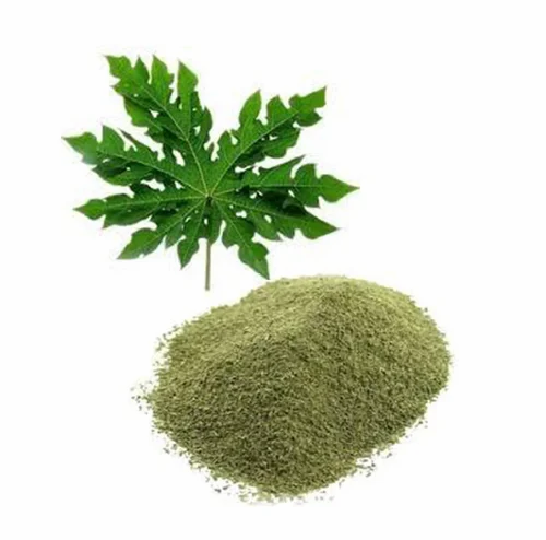 Papaya Leaf Powder