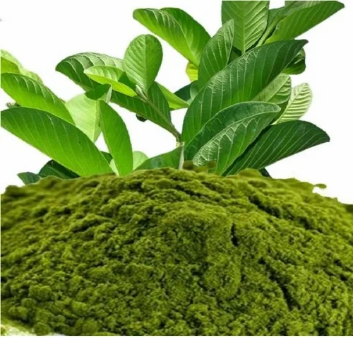 Guava Leaf Powder, Packaging Type: Packet, Packaging Size: 1 Kg