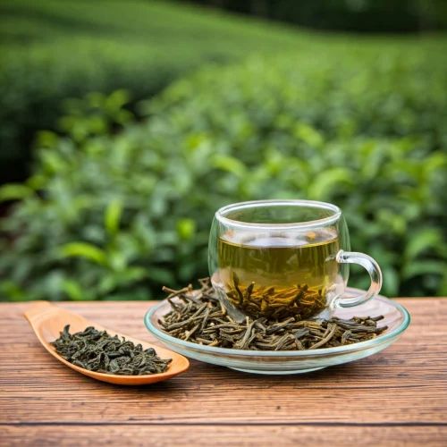 Green Tea Leaves