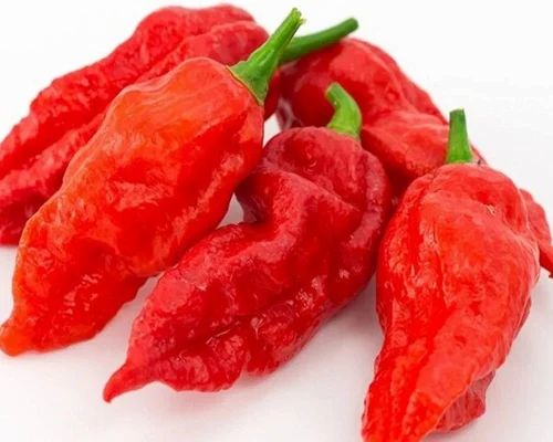 Bhut Jolokia Fresh Ghost Pepper