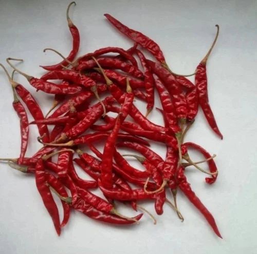 Teja S14 Red Chillies, With Stem