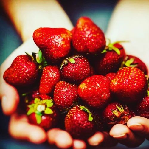 Strawberry Dried Fruit, Packaging Size: 1 kg