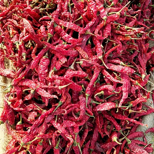 Byadgi Chilli With Stem