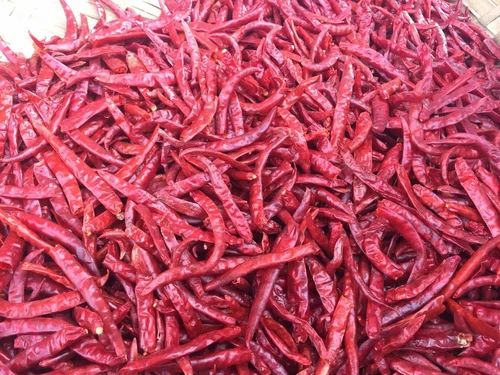 Red A Grade New Crop Teja Chilli Without Stem, For Cooking