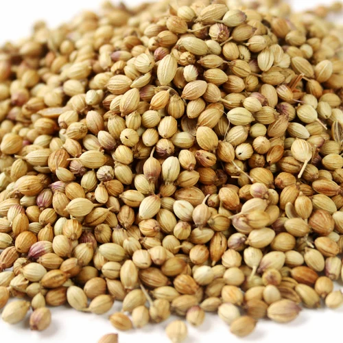 Coriander Seed, Badami, Whole Seeds