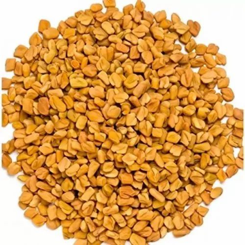 Fenugreek Seeds, Packaging Size: 50kg