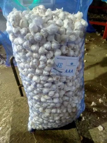 Ooty Full Gola Garlic- AAA, 36mm-40 mm
