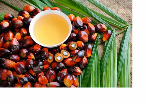 Palm super 15 Liter Tin