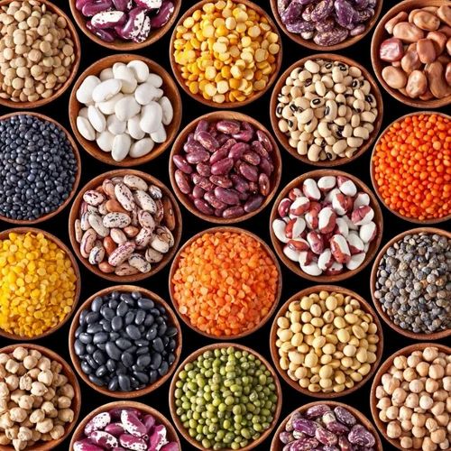 Premium Quality Pulses Nutritious and Wholesome, OUR BRAND, Packaging Size: 30 Kg