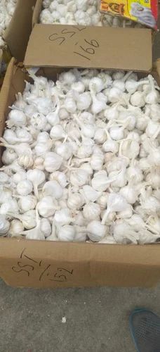 Himalayan Garlic Whole Bulb (Export Quality, 45mm+)