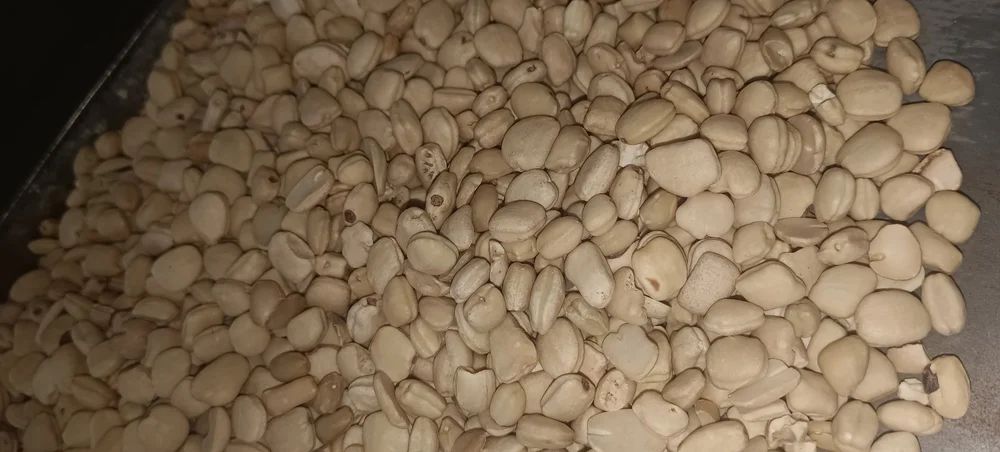 Tamarind Seeds Kernel, Packaging Size: 50 kg