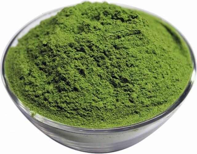 Drumstick Leaf Powder, 25 kg