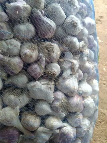 A Grade Garlic, Packaging Size: 48 To 58 Kg Bag, Garlic Size: 20mm To 45 Mm