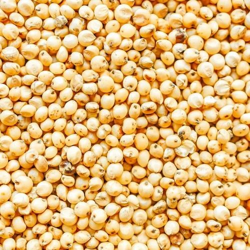 White Dried Whole sorghum, 32 kg