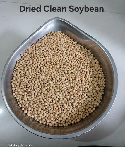 GMO Dried Clean Soybean, Whole Beans