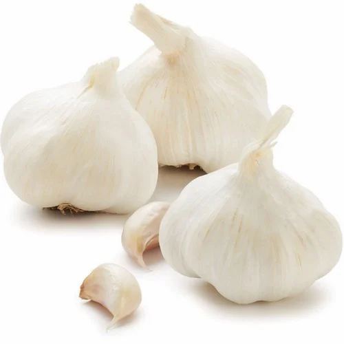 Regular White 50mm Rajasthan Organic Garlic