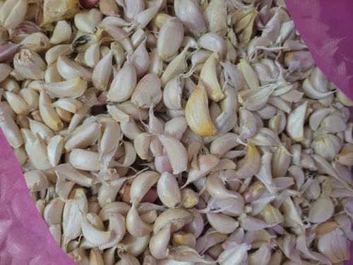 Average Clove Garlic