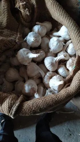 Fresh Desi Garlic