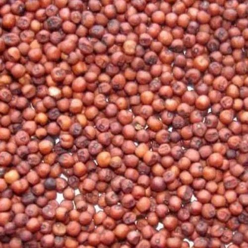 Red Seeds Ragi, High in Protein