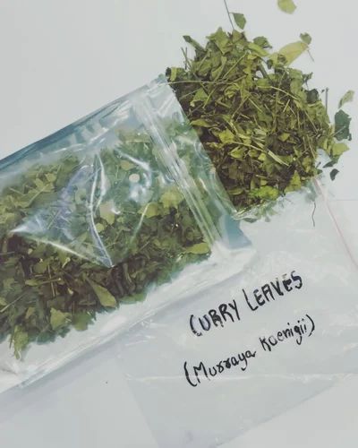 Curry Leaves