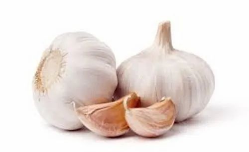 A Grade UTI Big Garlic, Packaging Size: 50 Kg