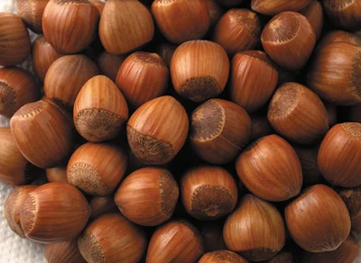 Hazelnut With Shell, Packaging Size: 50 kg, Packaging Type: Plastic Box