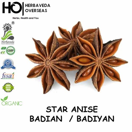 Star Anise Seed Badiyan, CARTON BOX