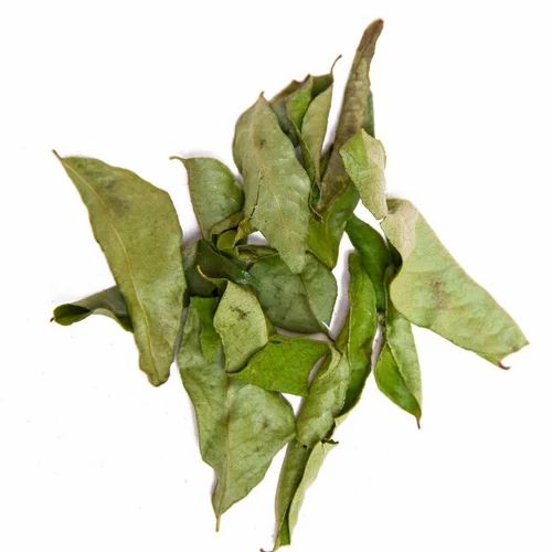 Curry Leaves Kadi Patta