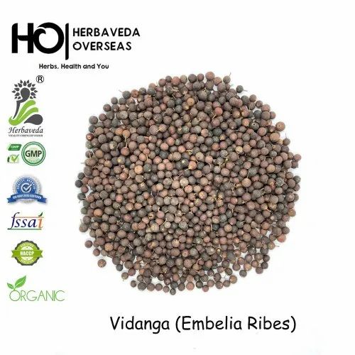 Vavding Embelia Ribes Vidanga, Form: Whole Seed, Red