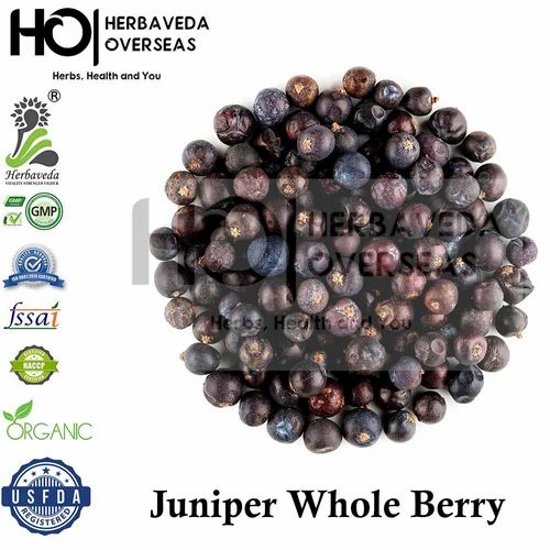 Juniper Berrry Hauber