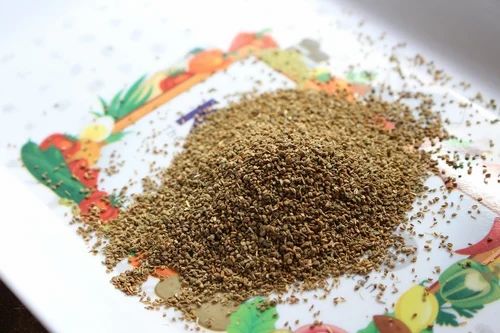 Brown Karfas Celery Seed (Apium Graveolens Seeds, Packaging Size: 1 kg