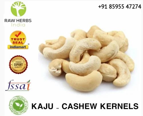 Plain Kaju - Cashew Kernels