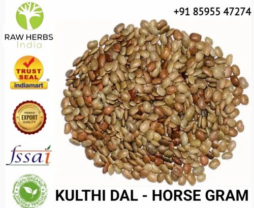 KULTHI DAL - HORSE GRAM - MACROTYLOMA UNIFLORUM, Packaging Type: Plastic Bag, Packaging Size: 50 Kg