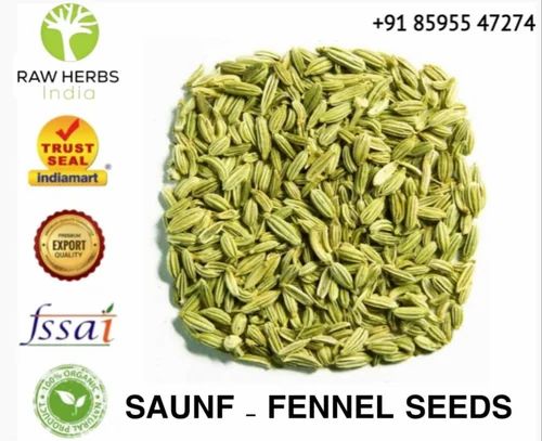 Foeniculum vulgare Mill SAUNF - FENNEL SEEDS, Grade Standard: Premium