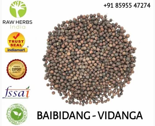 VAIVIDANG - BAIBIDANG - VIDANGA - EMBELIA RIBES - FALSE PEPPER, Grade Standard: Premium