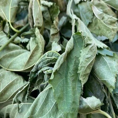 Dried Mulberry Leaves