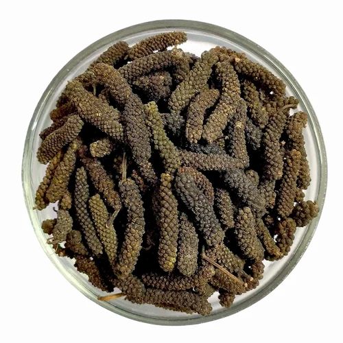 Chavya Herb