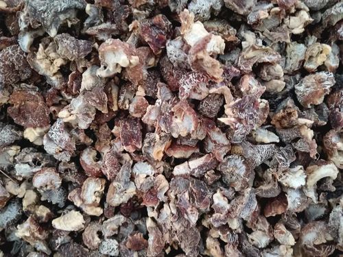 Orange Andhra Pradesh Amla Boil Red, Packaging Type: Gunny Bag, Packaging Size: 20 Kg