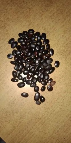 Zeal herbs Tamarind Seeds Imli Beej, Packaging Type: Bag, Packaging Size: 50