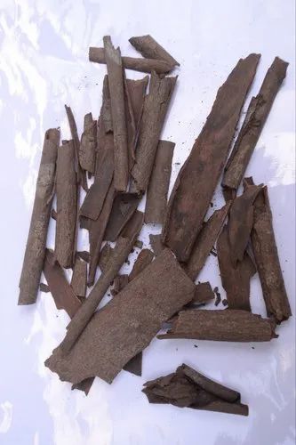 Cassia Tora Split