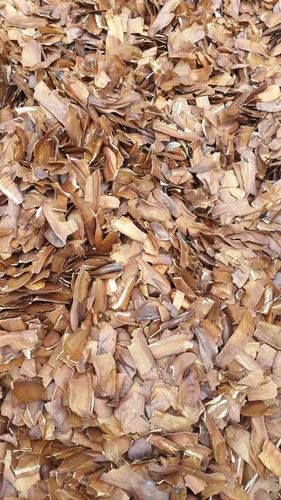 Natural Sky Fruit Seeds, Packaging Type: Packet