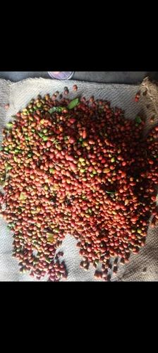Natural Kamini(Muraiya Seeds