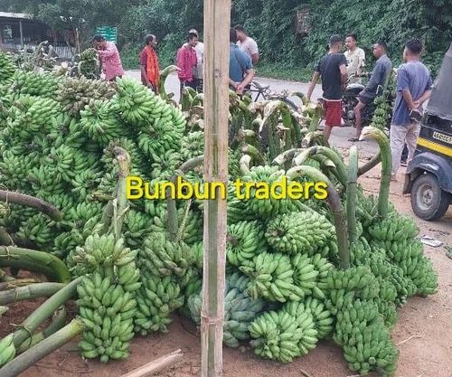 Fresh Banana Fruit