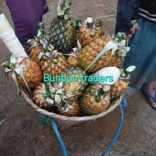 Fresh Pineapple Fruit
